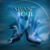 Swan Soul - official band of Rock for Learning (Photograph by Marisa Silos)